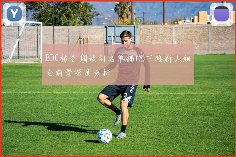 EDG转会期试训名单揭晓下路新人组合前景深度分析